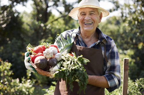 Senior Health Tips: The Importance of Minerals